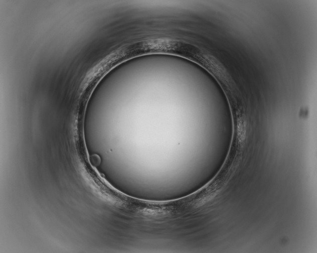 X0000116820725200912181407