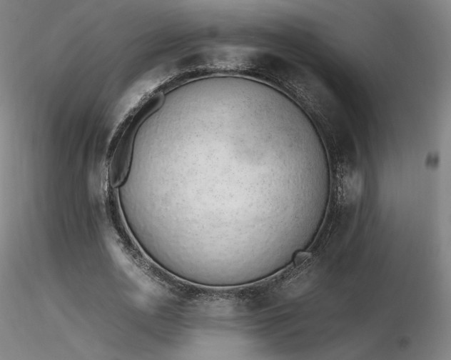 X0000116820726200912181407