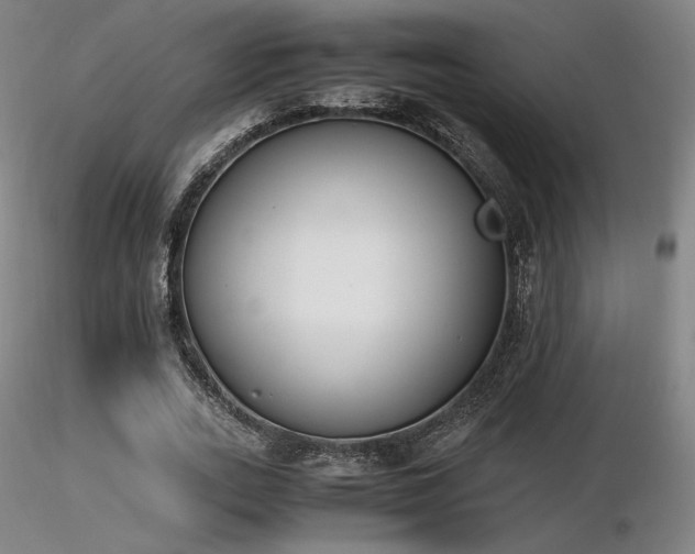 X0000116820727200912181407