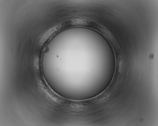 X0000116820729200912181407