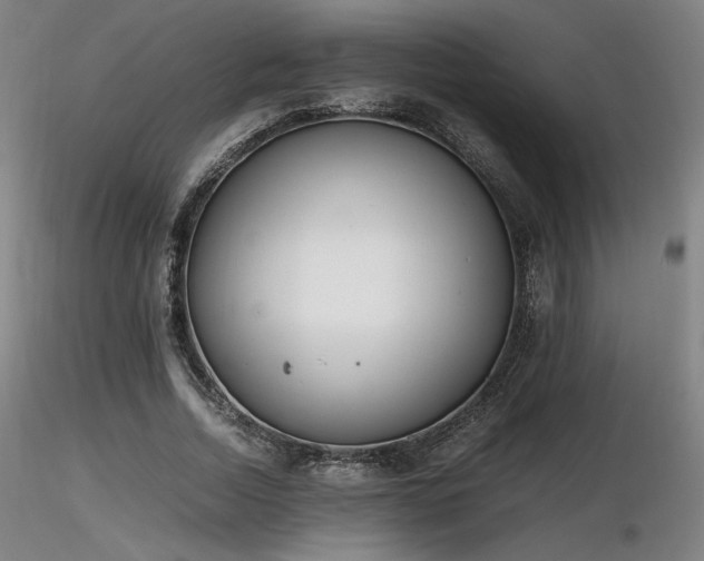 X0000116820730200912181407