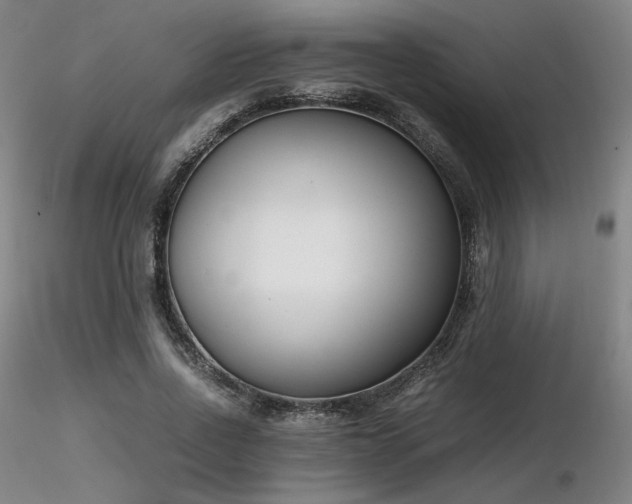 X0000116820734200912181407