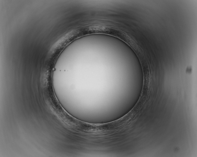 X0000116820735200912181407