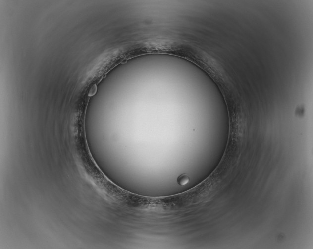 X0000116820738200912181408