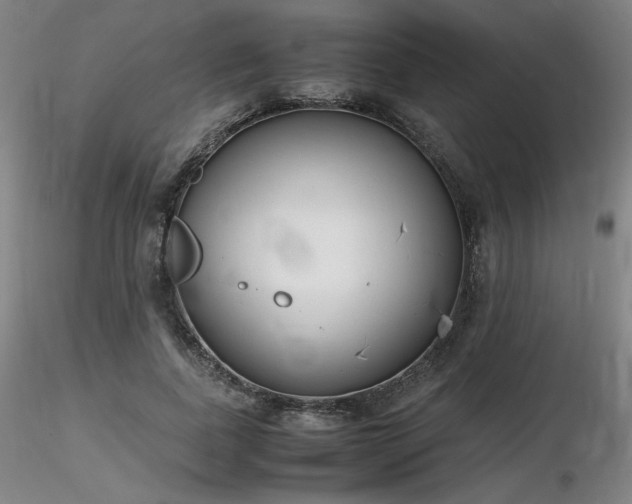 X0000116820739200912181408