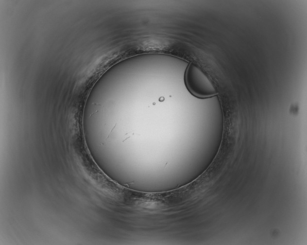 X0000116820743200912181408
