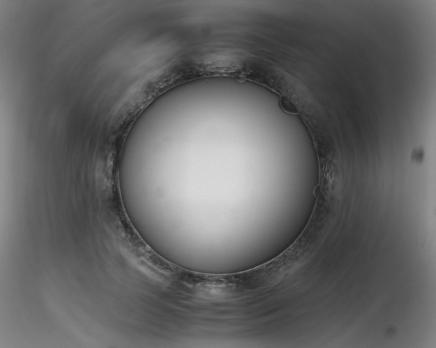 X0000116820745200912181408