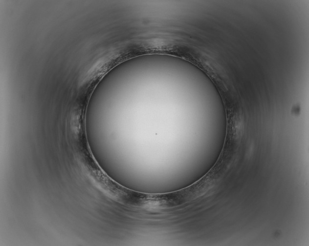 X0000116820746200912181408