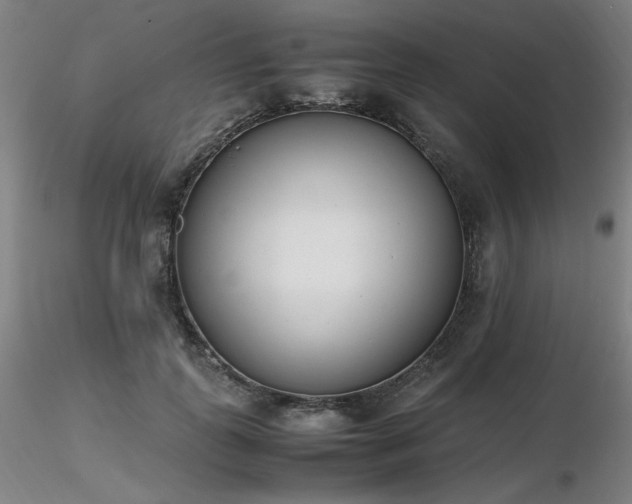 X0000116820747200912181408