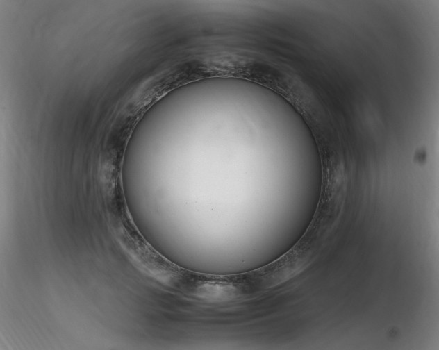 X0000116820749200912181408