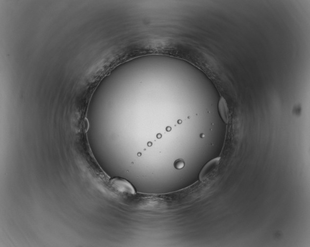 X0000116820750200912181408