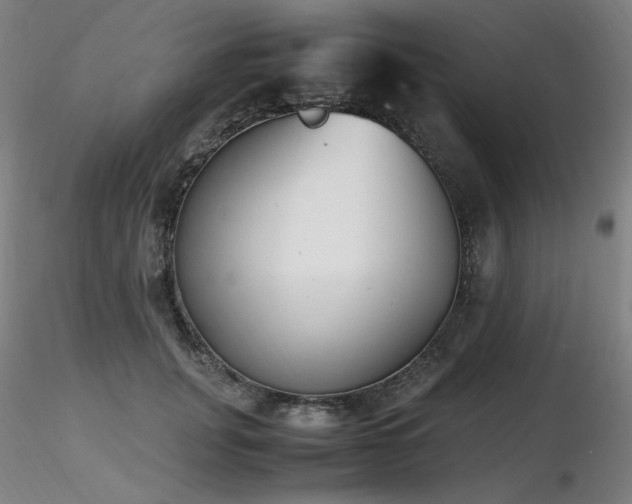 X0000116820751200912181408