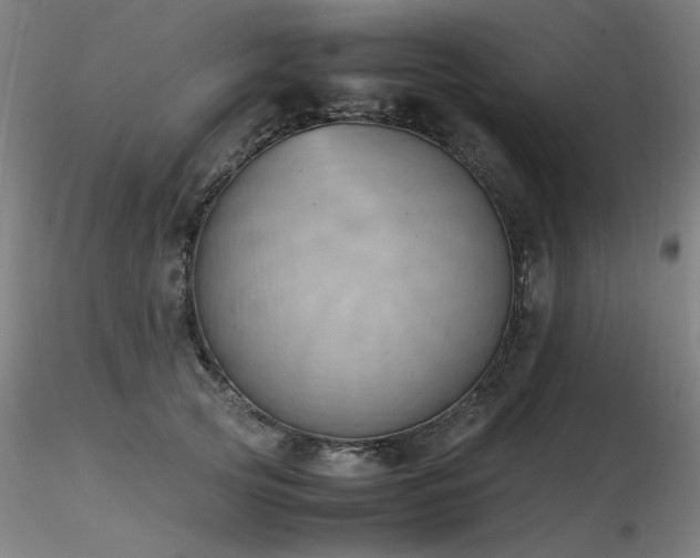 X0000116820753200912181408