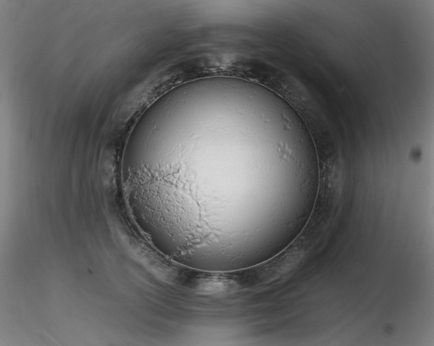 X0000116820754200912181408