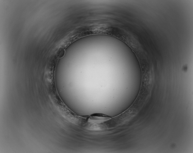 X0000116820755200912181408
