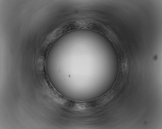 X0000116820757200912181408
