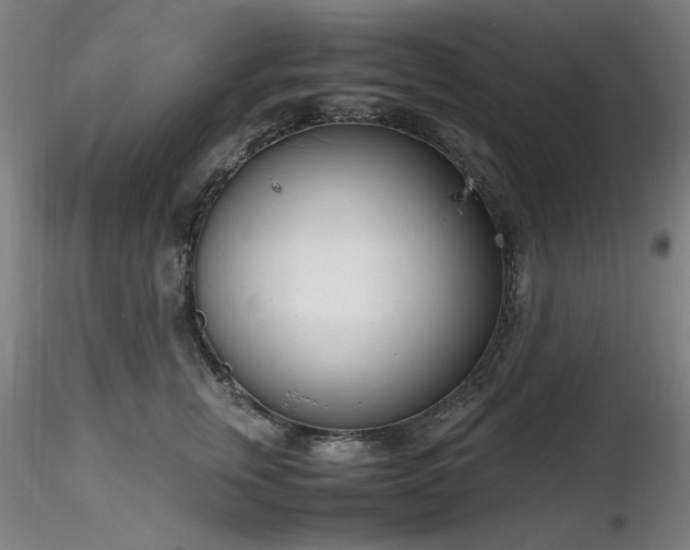 X0000116820759200912181408