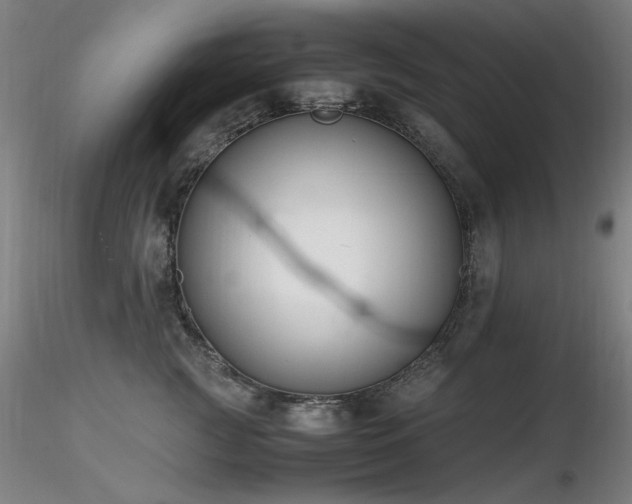 X0000116820761200912181408