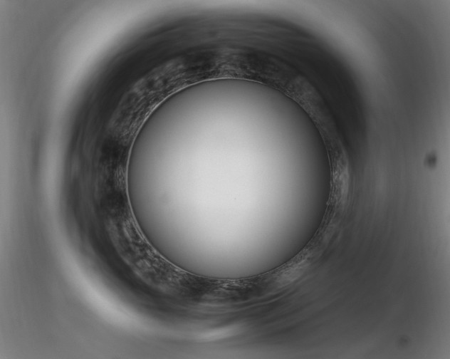 X0000116820765200912181408