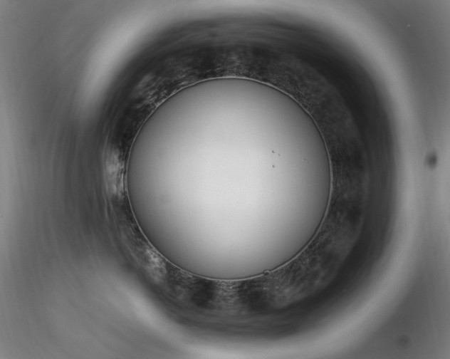 X0000116820766200912181408