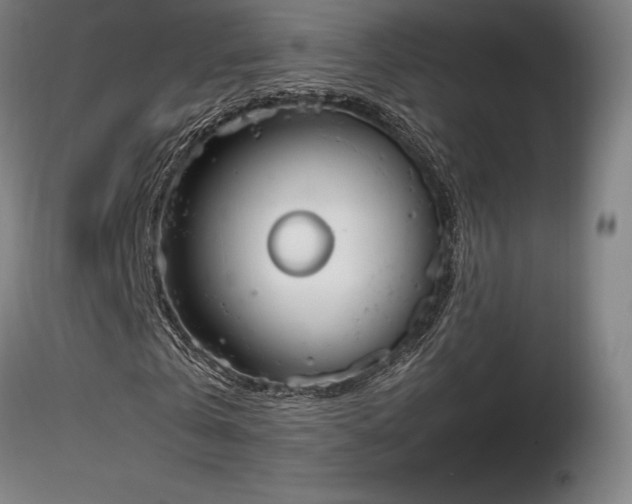X0000116820769200912181407