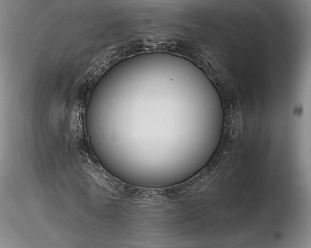 X0000116820770200912181407