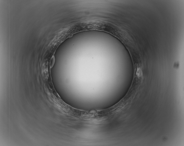X0000116820771200912181407