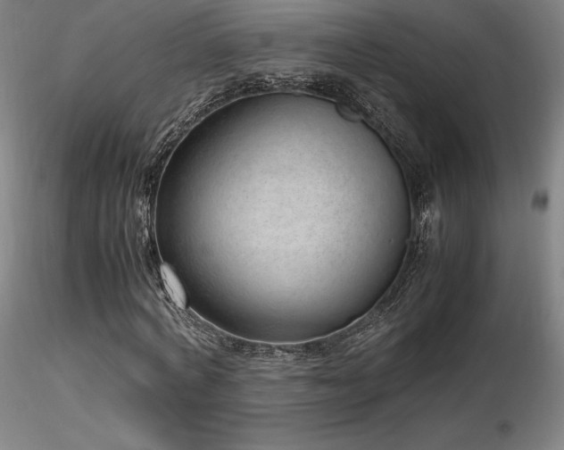 X0000116820772200912181407