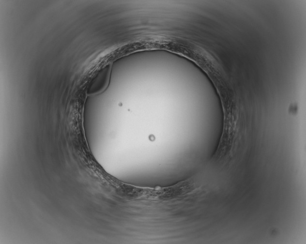 X0000116820773200912181407