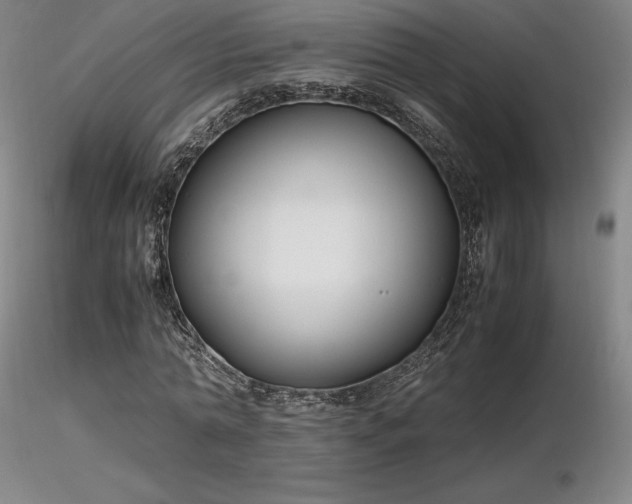 X0000116820774200912181407
