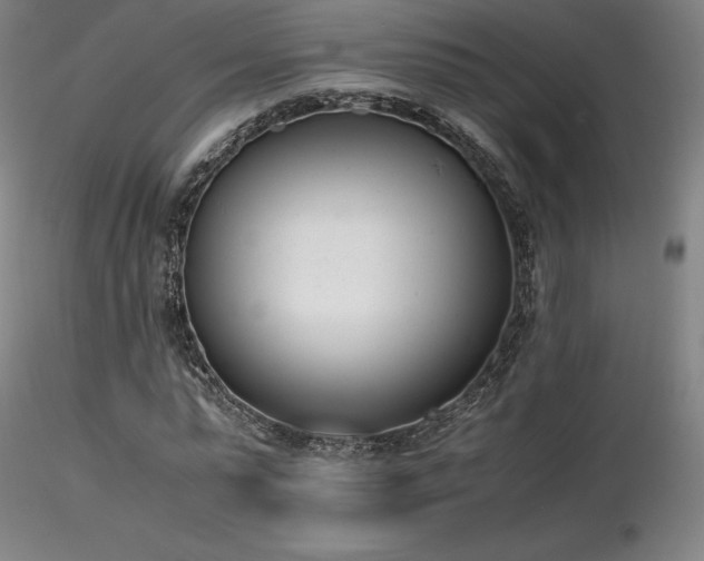 X0000116820775200912181407