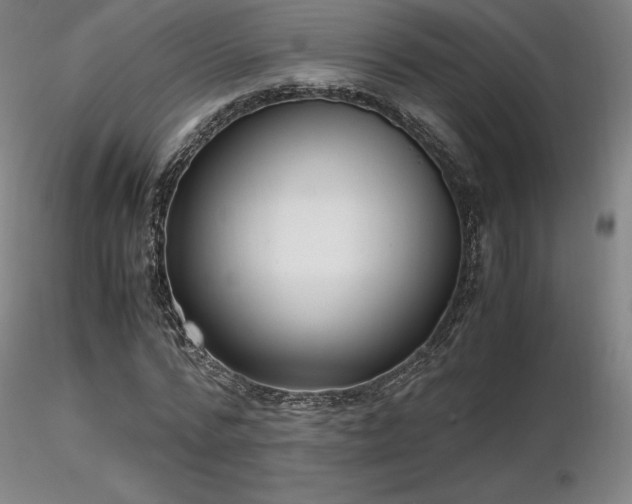 X0000116820776200912181407