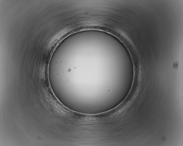 X0000116820777200912181407