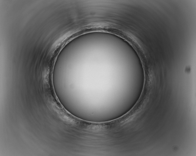 X0000116820778200912181407