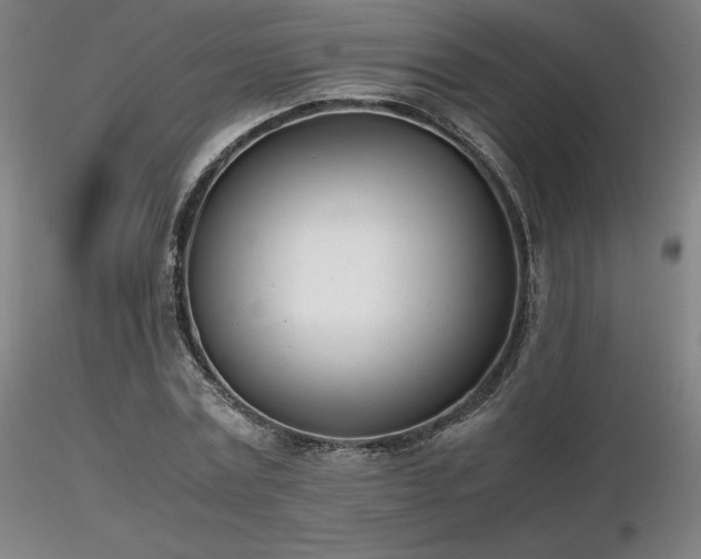 X0000116820779200912181407