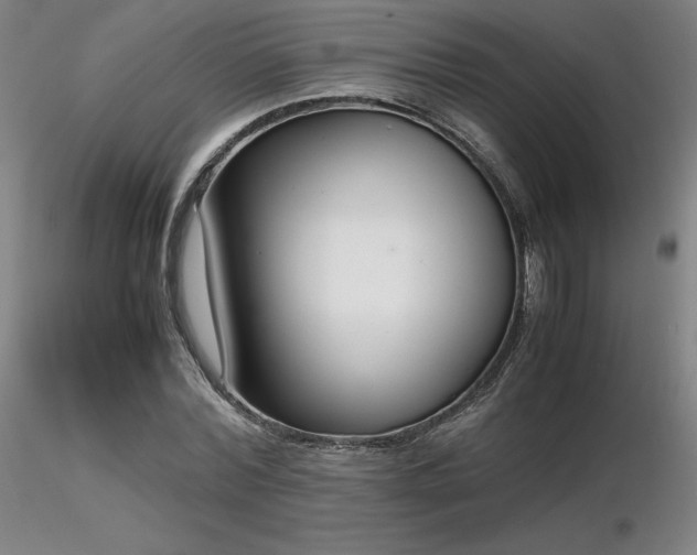 X0000116820780200912181407