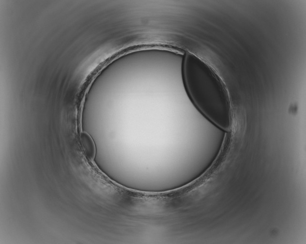 X0000116820781200912181407