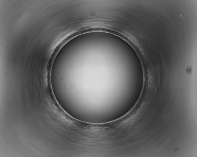 X0000116820782200912181407