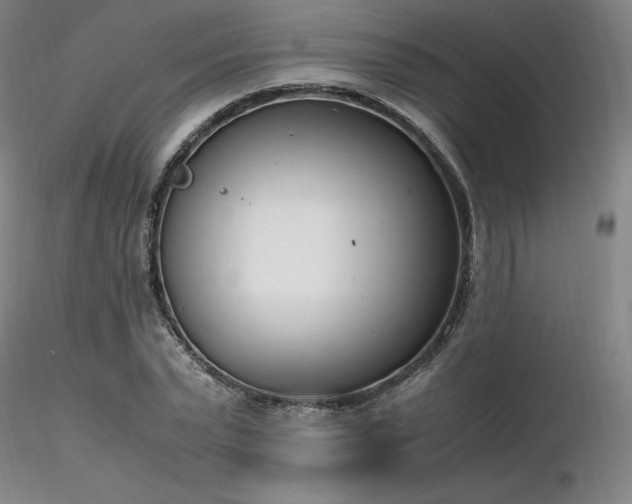 X0000116820783200912181407