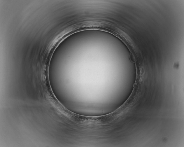 X0000116820786200912181407