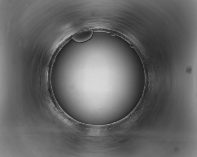 X0000116820790200912181407
