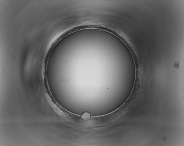 X0000116820791200912181407