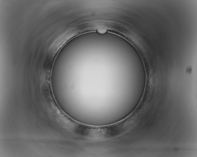 X0000116820793200912181407
