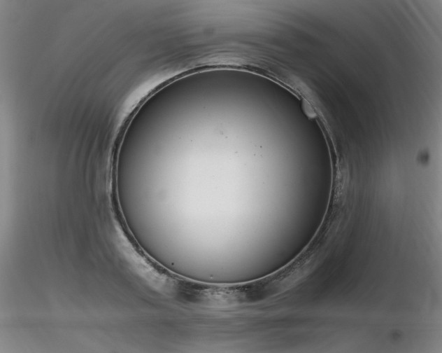 X0000116820795200912181407