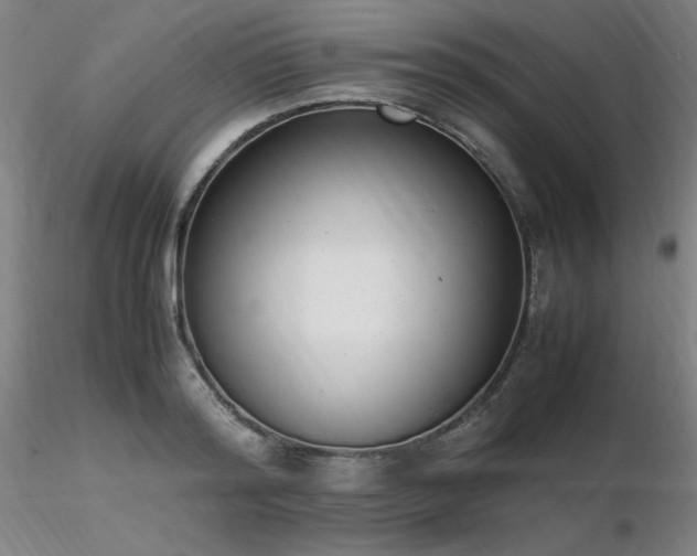 X0000116820796200912181407
