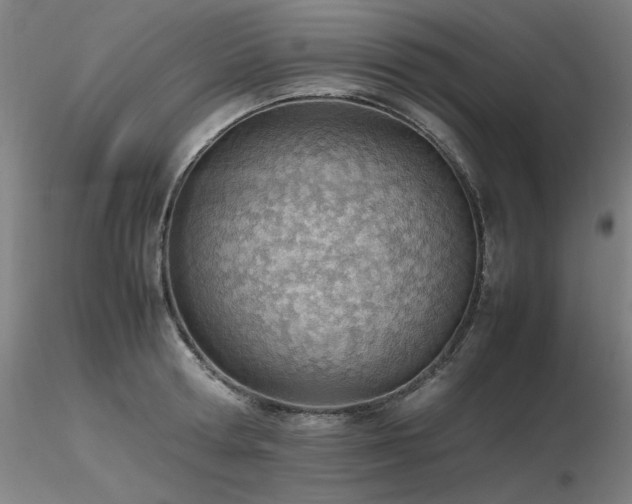 X0000116820802200912181407