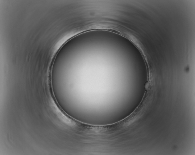 X0000116820803200912181407