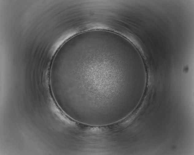 X0000116820806200912181407