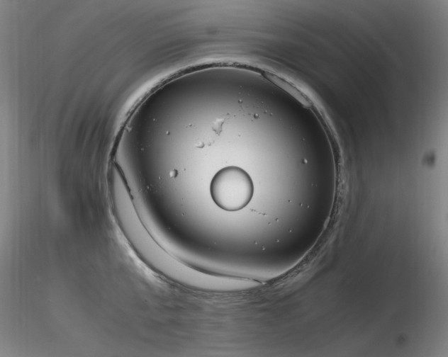 X0000116820807200912181407