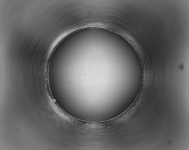 X0000116820808200912181407